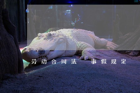 劳动合同法 事假规定 劳动合同法 事假规定